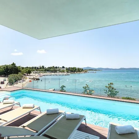 Dedaj - Tina Zadar
